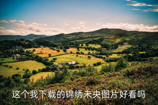 錦繡未央海報，這個我下載的錦繡未央圖片好看嗎