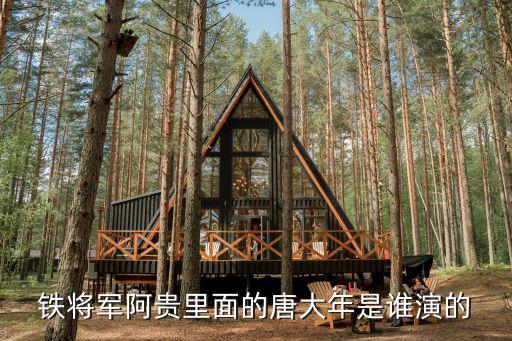 鐵將軍阿貴里面的唐大年是誰演的