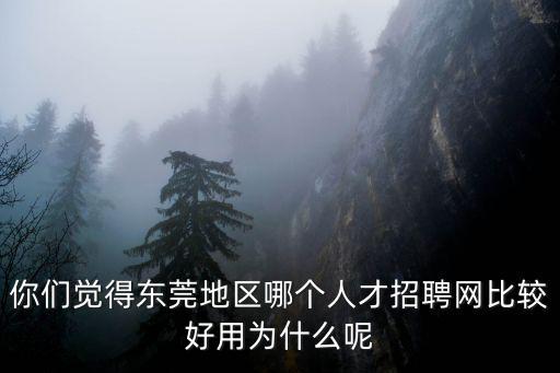 你們覺得東莞地區(qū)哪個人才招聘網(wǎng)比較好用為什么呢