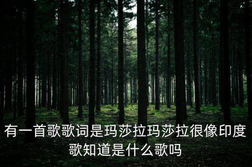 有一首歌歌詞是瑪莎拉瑪莎拉很像印度歌知道是什么歌嗎