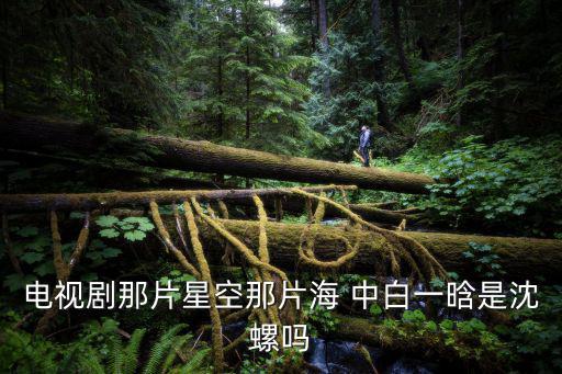 電視劇那片星空那片海 中白一晗是沈螺嗎