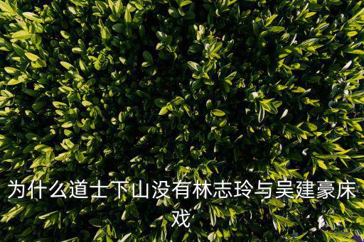為什么道士下山沒有林志玲與吳建豪床戲