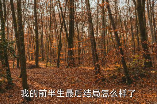 我的前半生最后結(jié)局怎么樣了