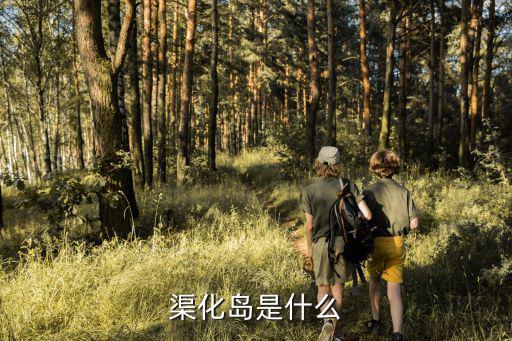 渠化島是什么