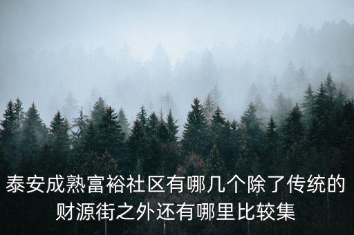 泰安成熟富裕社區(qū)有哪幾個(gè)除了傳統(tǒng)的財(cái)源街之外還有哪里比較集