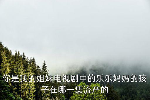 你是我的姐妹電視劇中的樂樂媽媽的孩子在哪一集流產的