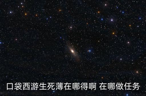 生死薄，口袋西游生死薄在哪得啊 在哪做任務