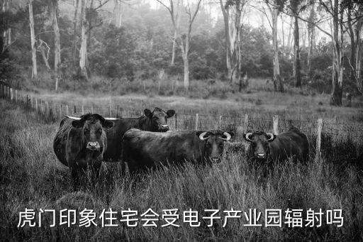 虎門印象住宅會受電子產(chǎn)業(yè)園輻射嗎