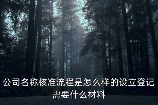 公司名稱核準流程是怎么樣的設立登記需要什么材料