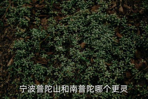 寧波普陀山和南普陀哪個更靈