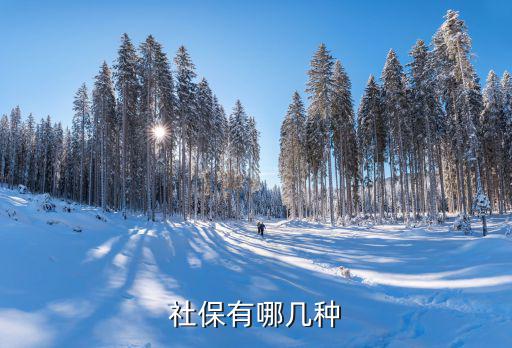 社保分幾種，社保卡有分幾種的嗎