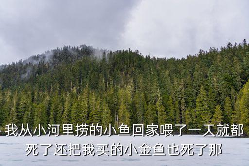 我從小河里撈的小魚回家喂了一天就都死了還把我買的小金魚也死了那