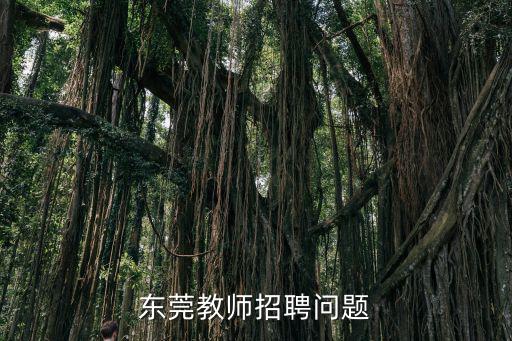 東莞教師招聘問題