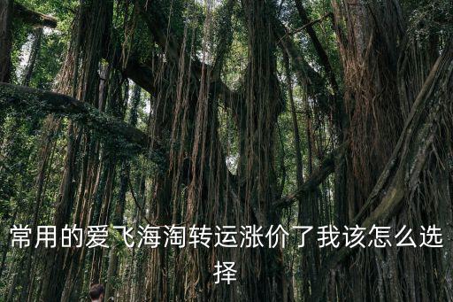 愛飛海淘，愛飛網(wǎng)怎么樣可信嗎