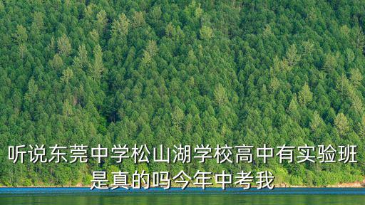 聽說東莞中學松山湖學校高中有實驗班是真的嗎今年中考我