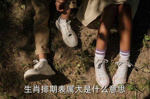 生肖排期表屬大是什么意思
