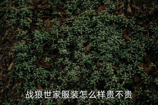 戰(zhàn)狼世家服裝怎么樣貴不貴