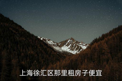上海徐匯區租房，徐匯區哪里租房子便宜5001000元一月