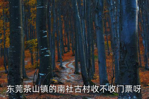 東莞茶山鎮的南社古村收不收門票呀