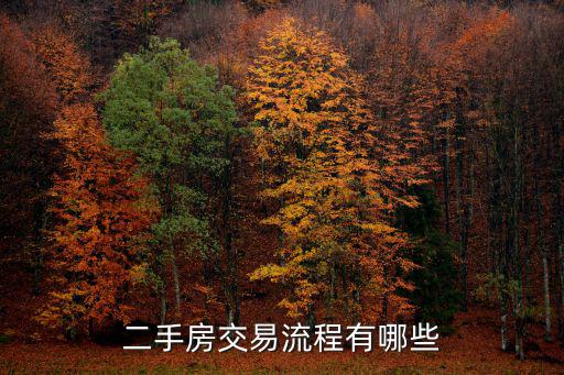 二手房交易流程，昆明二手房按揭貸款買賣交易流程