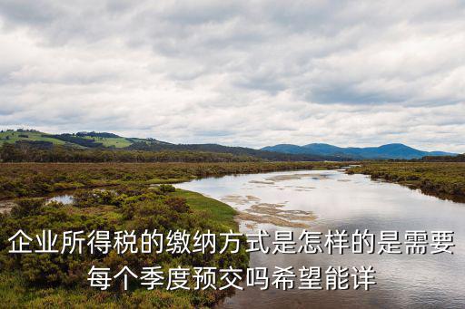 企業所得稅的繳納方式是怎樣的是需要每個季度預交嗎希望能詳