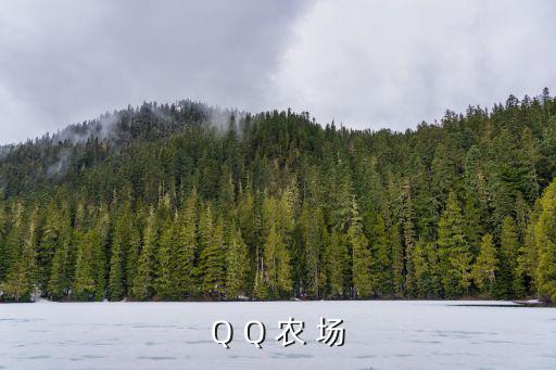 Q Q 農 場