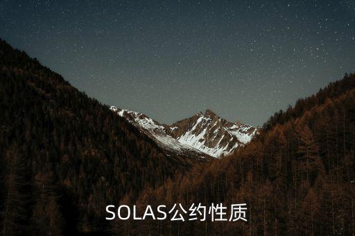 SOLAS公約性質(zhì)