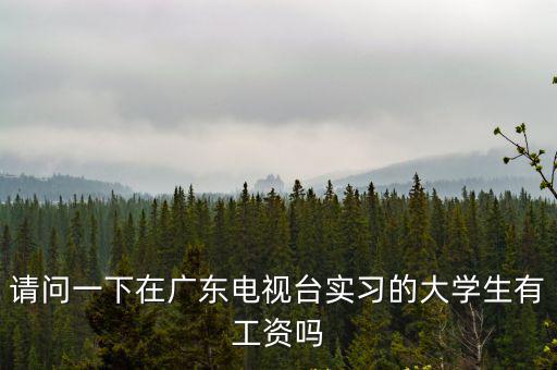請問一下在廣東電視臺實習的大學生有工資嗎