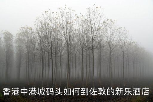 香港中港城碼頭如何到佐敦的新樂酒店