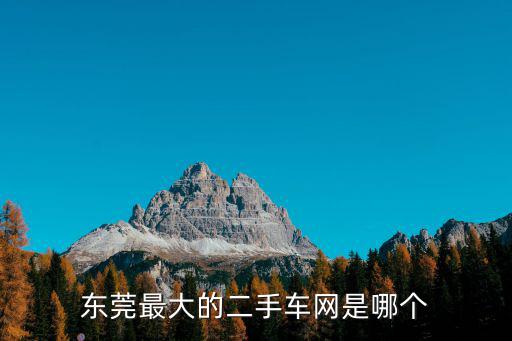 東莞最大的二手車網是哪個
