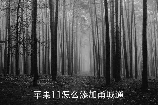 蘋果11怎么添加甬城通