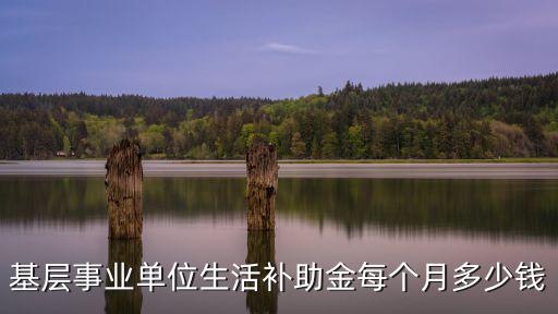 基層事業(yè)單位生活補(bǔ)助金每個月多少錢