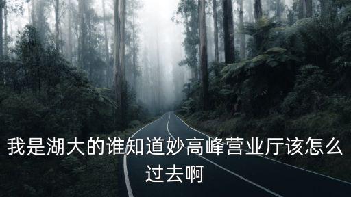 我是湖大的誰(shuí)知道妙高峰營(yíng)業(yè)廳該怎么過(guò)去啊