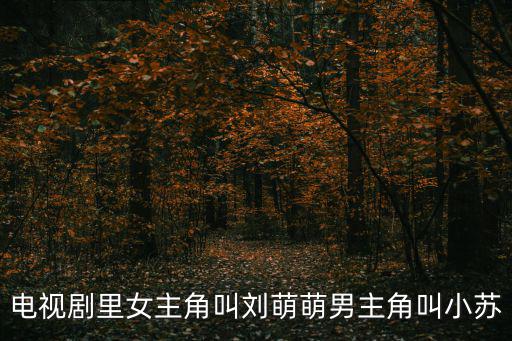 劉萌萌電視劇，電視劇中女主角叫劉萌萌的還有個小孩叫小童的電視叫什么