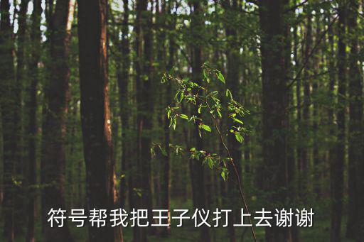 王子儀，符號幫我把王子儀打上去謝謝
