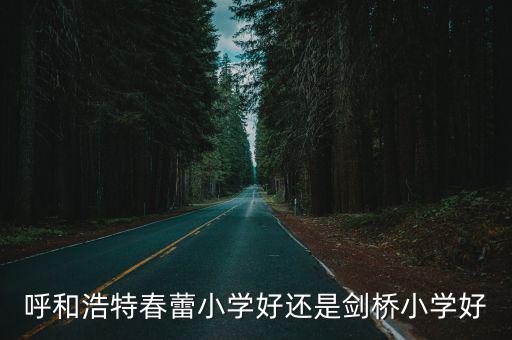 劍橋小學，張店劍橋小學怎么樣啊