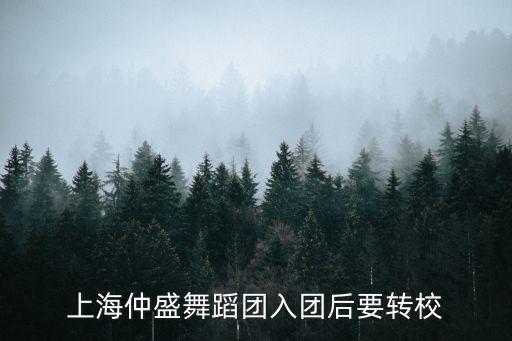 仲盛，仲盛集團的介紹
