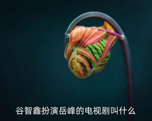 谷智鑫扮演岳峰的電視劇叫什么
