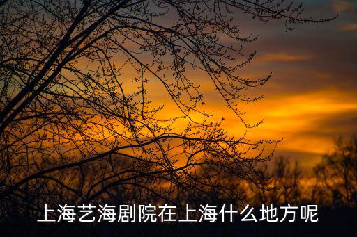 藝海劇院，上海藝海劇院什么位置看舞臺劇最好 幾排之前能看清臉因為我聽