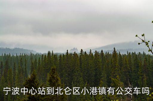 寧波中心站到北侖區小港鎮有公交車嗎