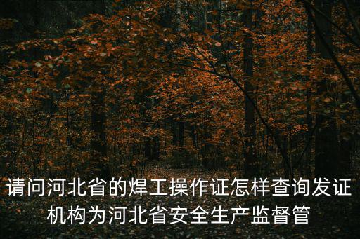 請問河北省的焊工操作證怎樣查詢發(fā)證機(jī)構(gòu)為河北省安全生產(chǎn)監(jiān)督管