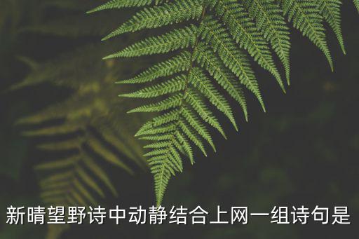 新晴望野詩中動靜結(jié)合上網(wǎng)一組詩句是
