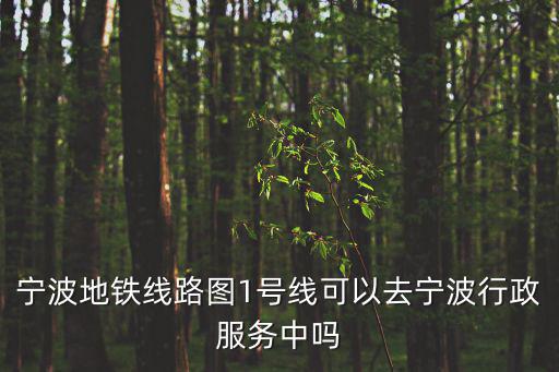 寧波地鐵線路圖1號線可以去寧波行政服務中嗎