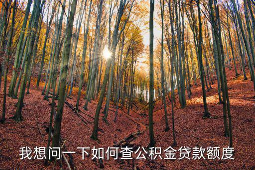 我想問一下如何查公積金貸款額度