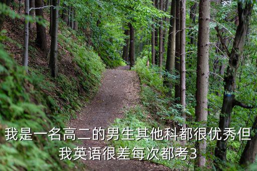 青禾男高2，青禾男高女排球演員