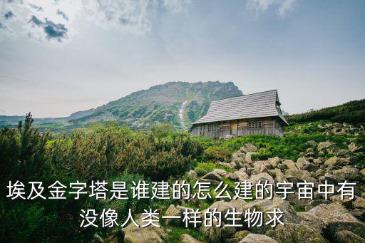 在宇宙中有一個寶，埃及金字塔是誰建的怎么建的宇宙中有沒像人類一樣的生物求