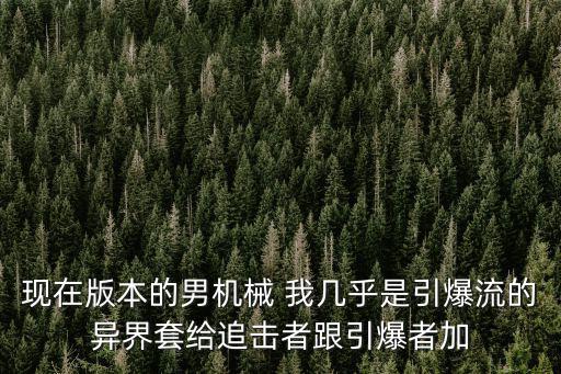現(xiàn)在版本的男機(jī)械 我?guī)缀跏且鞯漠惤缣捉o追擊者跟引爆者加