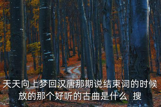 天天向上夢回漢唐那期說結(jié)束詞的時(shí)候放的那個(gè)好聽的古曲是什么  搜
