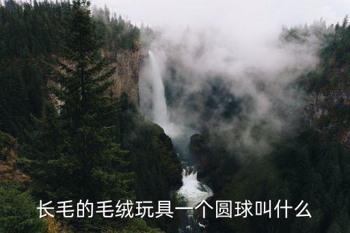 長毛玩具，長毛的毛絨玩具一個圓球叫什么