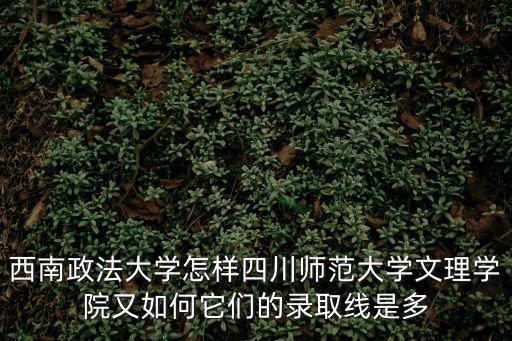 西南政法大學錄取分數線，西南政法大學怎樣四川師范大學文理學院又如何它們的錄取線是多